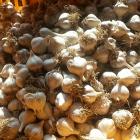 ��ǰ�� �̹���