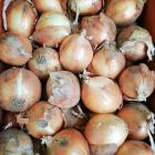 ��ǰ�� �̹���