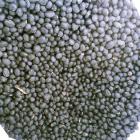 ��ǰ�� �̹���