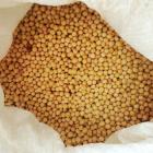 ��ǰ�� �̹���