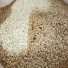 ��ǰ�� �̹���